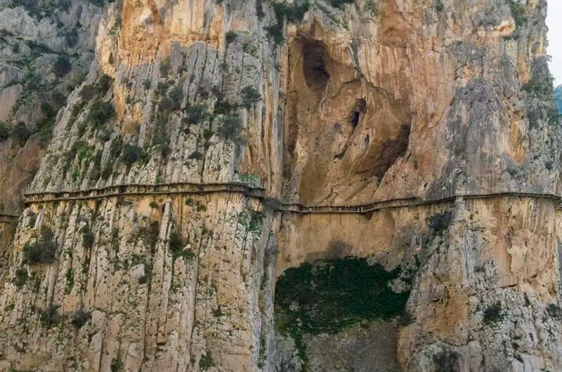 Sando: 50 años aportando valor a las necesidades de sus clientes